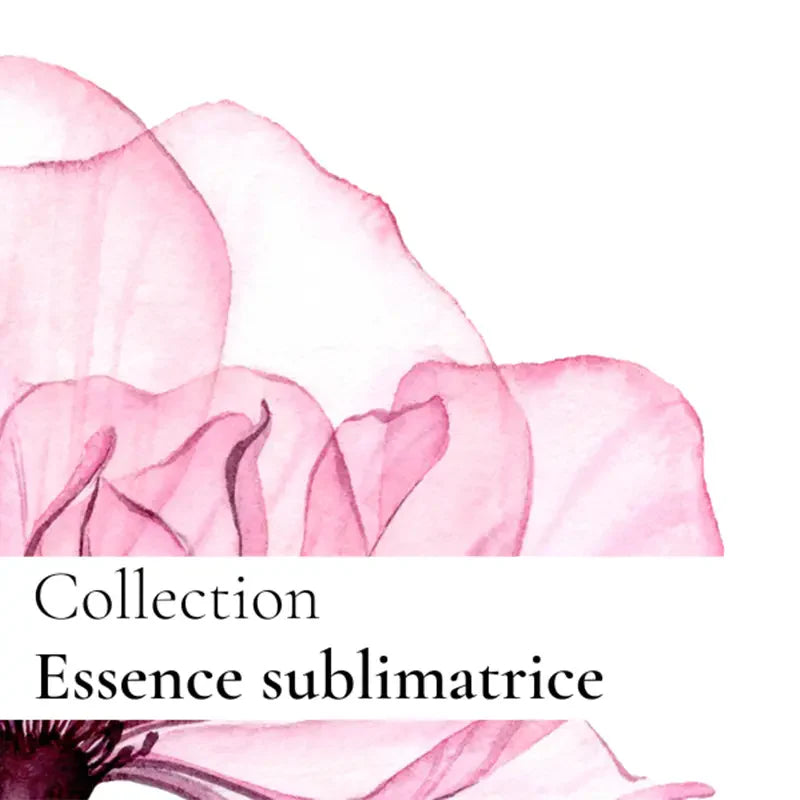 La crème sublimatrice - Formule initiale ラ クレーム スブリマトリス イニシャル フェイスクリーム